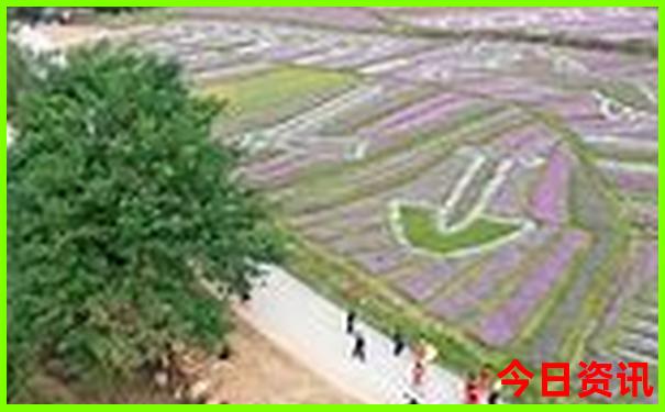 1月最佳旅游十大地方