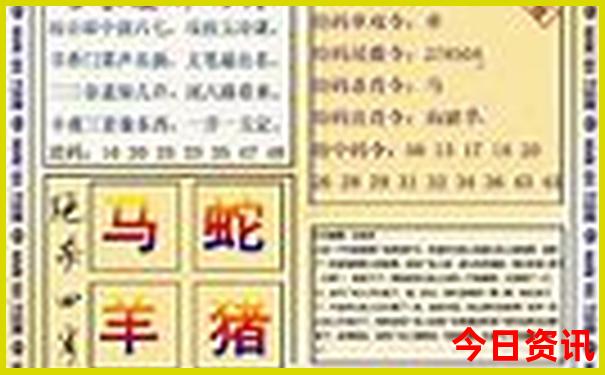 旅游拼团平台有哪些