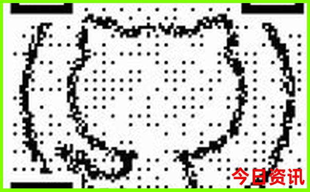 新澳门四肖期期准免费