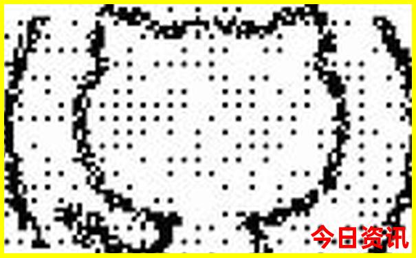 暑假什么地方好玩的旅游景点