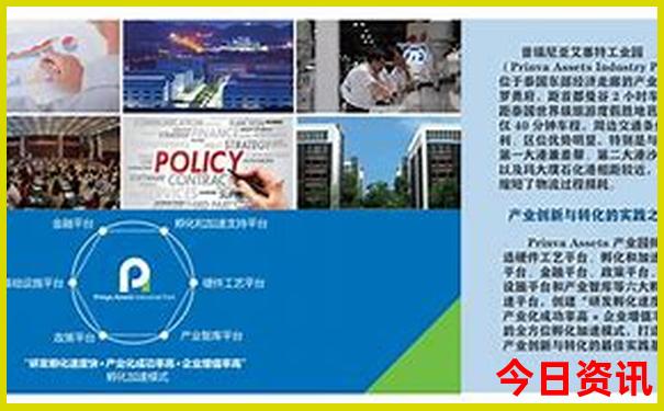 上是生肖下是码的动物